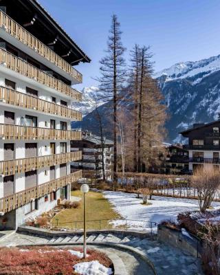 Le Brevent apartment -Chamonix All Year