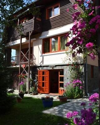 Casa Camelia