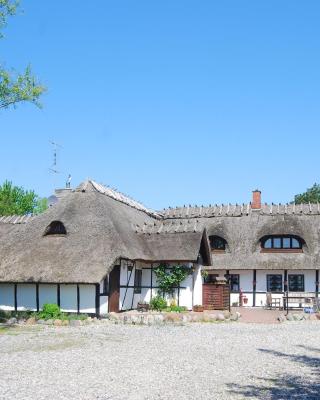 Den gamle Digegaard