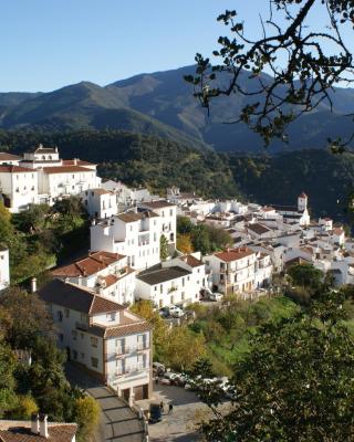 Apartamentos Rurales Jardines del Visir