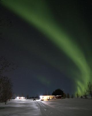 Höfði Cottages