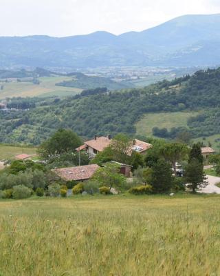 Agriturismo Terra Selvatica