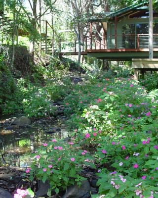 Treetops Montville