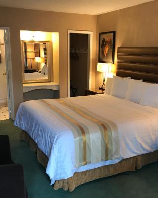 Discovery Inn