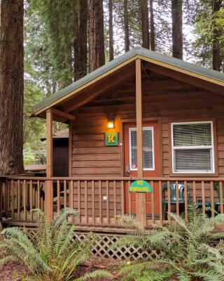 Emerald Forest Cabins