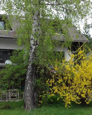 Sára Apartman Parádfürdő