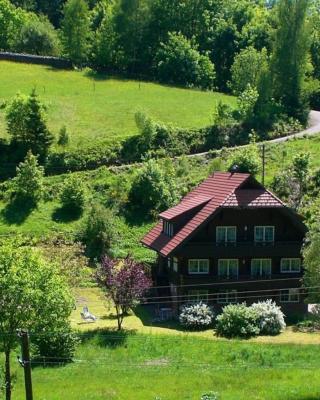 Apartment in Bad Rippoldsau near Ski Lift