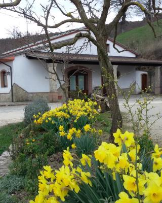 Agriturismo Il Regio Tratturo
