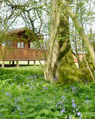 South Winchester Lodges