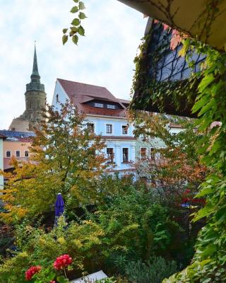 Haus Buchheim - Pension am Schloss