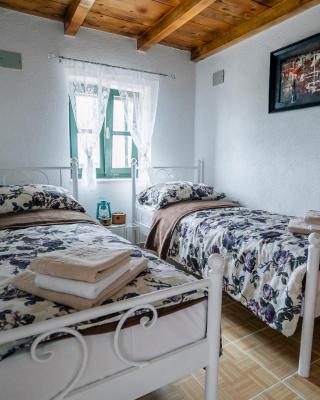 Apartman Studio Zdravko Eco Village