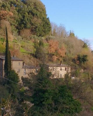 Rustico