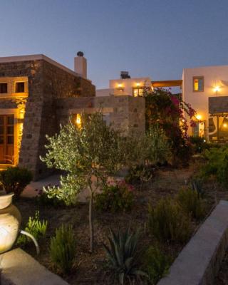 Villa Patmos Netia
