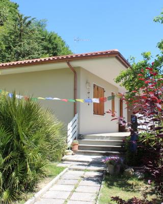Home Meditamondo
