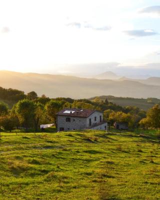 Fattoria Bio L'A Ceccoli