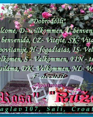 Apartment Ruza