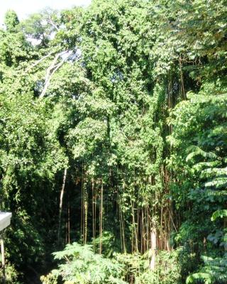 Latugu Homestay Ubud