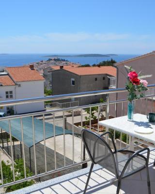 Apartman Darica Vid