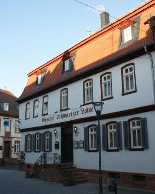 Hotel Schwartzer Löwe