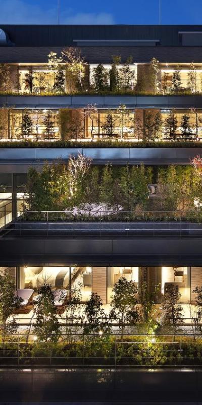 THE THOUSAND KYOTO