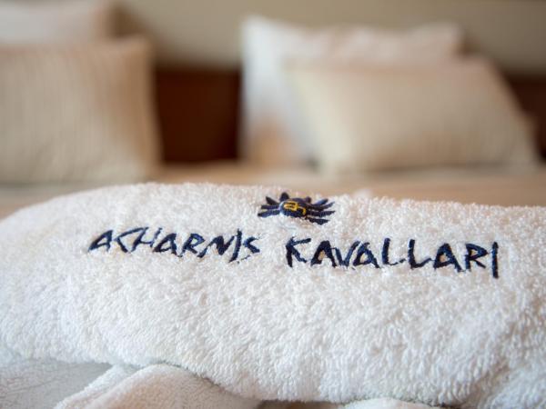 Acharnis Kavallari Hotel Suites : photo 6 de la chambre chambre simple