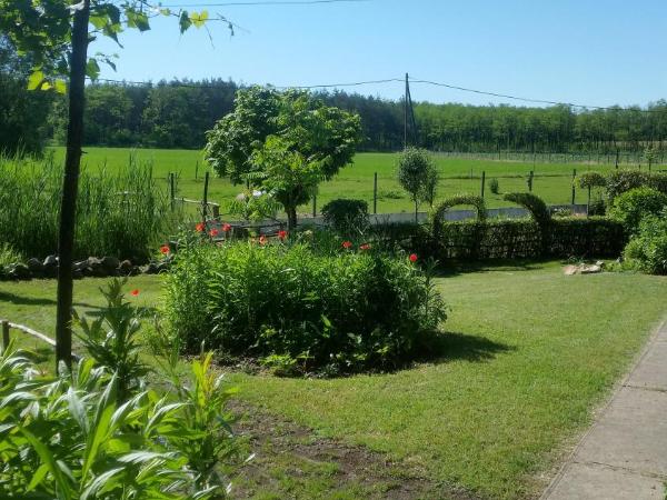 Lazy Days : photo 9 de la chambre chambre lit queen-size - vue sur jardin
