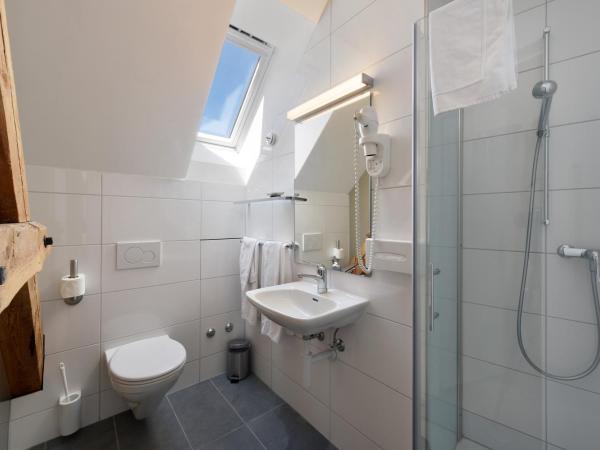 Hotel National Bern : photo 5 de la chambre chambre lit queen-size Économique