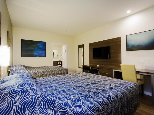 Palace Inn Blue US-59 & Gessner : photo 3 de la chambre chambre avec 2 grands lits queen-size 