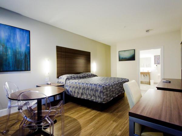 Palace Inn Blue US-59 & Gessner : photo 7 de la chambre chambre lit king-size supérieure