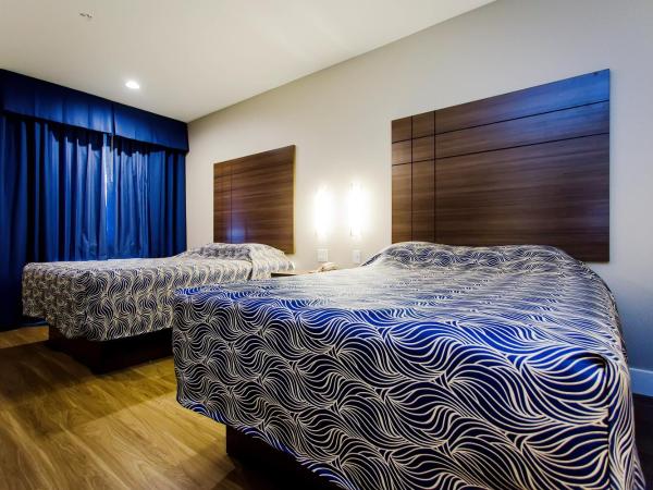 Palace Inn Blue US-59 & Gessner : photo 6 de la chambre chambre avec 2 grands lits queen-size