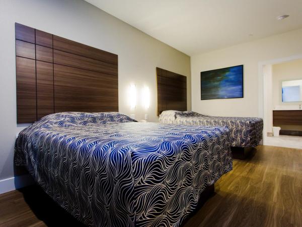 Palace Inn Blue US-59 & Gessner : photo 7 de la chambre chambre avec 2 grands lits queen-size 