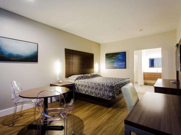 Palace Inn Blue US-59 & Gessner : photo 8 de la chambre chambre lit king-size supérieure