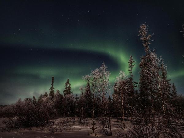 Napapiirin Järvilomat : photo 4 de la chambre cottage 2 chambres avec sauna