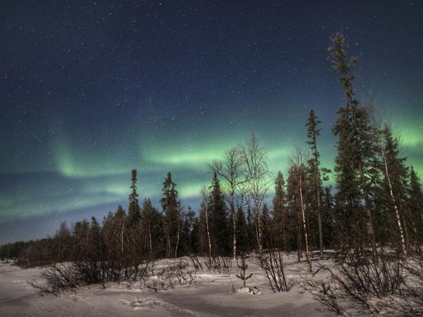 Napapiirin Järvilomat : photo 1 de la chambre cottage 3 chambres avec sauna