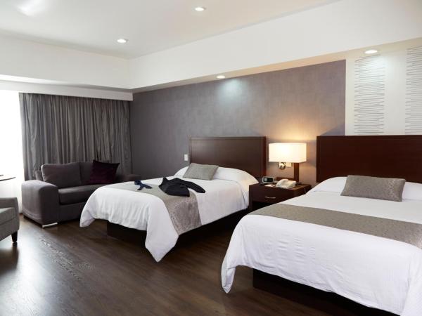 Ejecutivo Express Guadalajara Providencia - Av México : photo 2 de la chambre suite exécutive