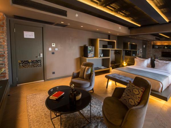 Cityloft 81 : photo 4 de la chambre hébergement junior avec jacuzzi