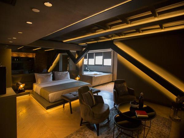 Cityloft 81 : photo 2 de la chambre hébergement junior avec jacuzzi