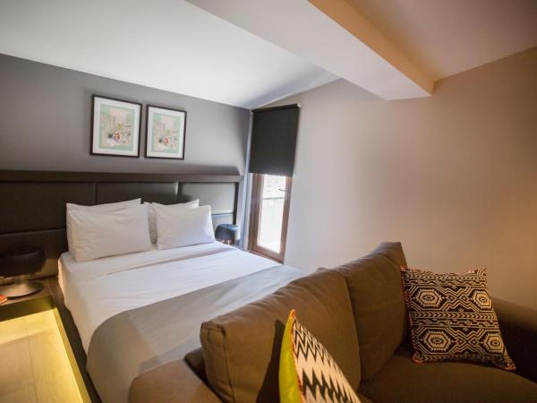 Cityloft 36 : photo 5 de la chambre studio avec terrasse