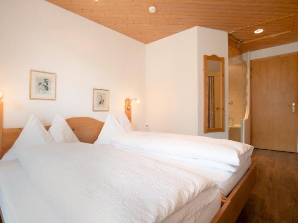 Hotel Sonnenberg : photo 3 de la chambre chambre lits jumeaux - vue sur montagne