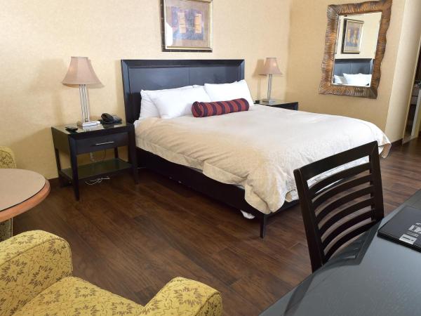 Hôtel Le Concorde Québec : photo 3 de la chambre suite lit king-size