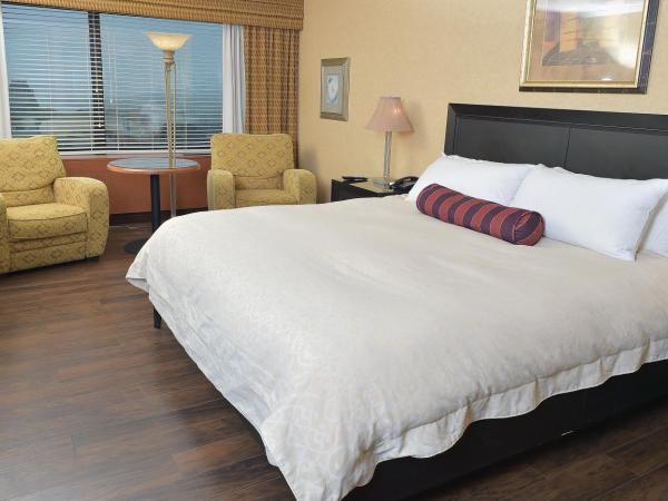 Hôtel Le Concorde Québec : photo 2 de la chambre suite lit king-size