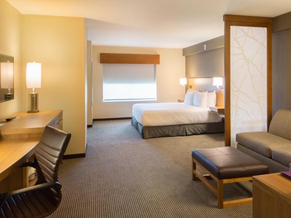 Hyatt Place Orlando/Lake Buena Vista : photo 6 de la chambre chambre lit king-size pour personnes à mobilité réduite avec canapé-lit et baignoire adaptée