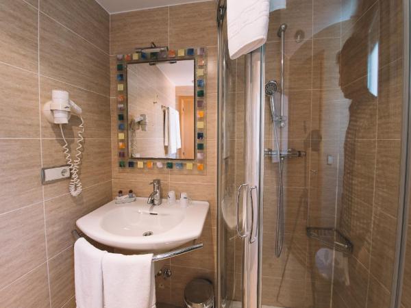 Hotel Castillo de Javier : photo 3 de la chambre chambre simple