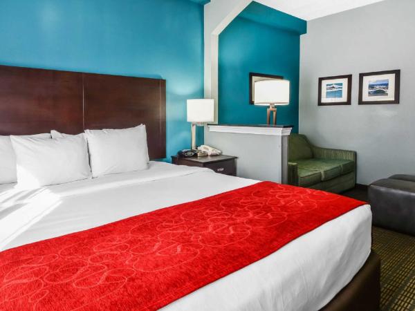 Comfort Suites Tampa - Brandon : photo 4 de la chambre suite lit king-size – non-fumeurs