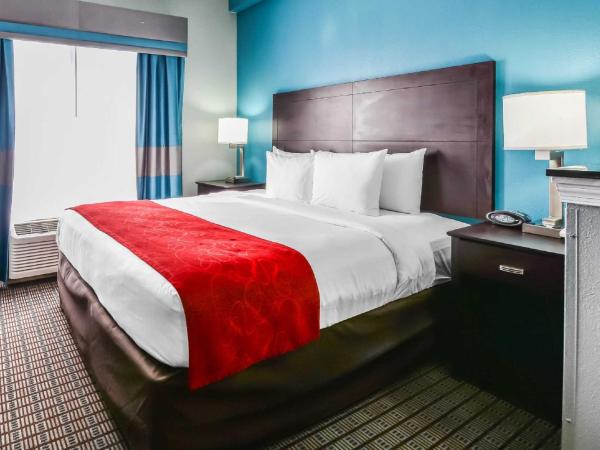 Comfort Suites Tampa - Brandon : photo 2 de la chambre suite lit king-size – non-fumeurs