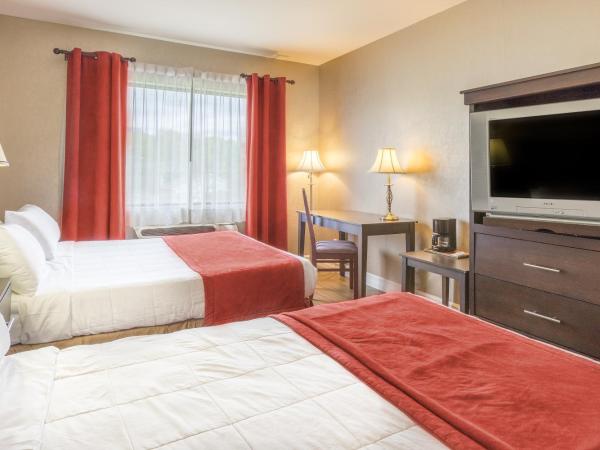 Hotel Ambassadeur et Suites : photo 3 de la chambre chambre double Économique avec 2 lits doubles 