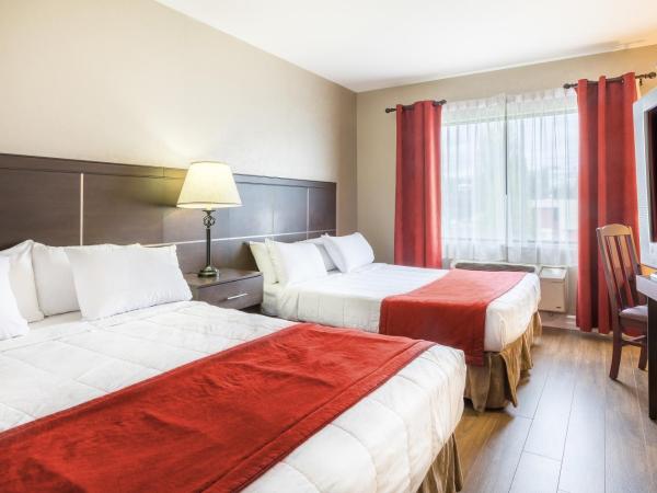 Hotel Ambassadeur et Suites : photo 2 de la chambre chambre double Économique avec 2 lits doubles 