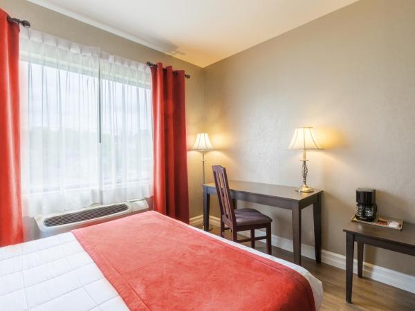 Hotel Ambassadeur et Suites : photo 1 de la chambre chambre lit queen-size Économique 
