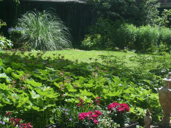 B&B Het Hart van Haarlem : photo 8 de la chambre chambre lit king-size deluxe - vue sur jardin