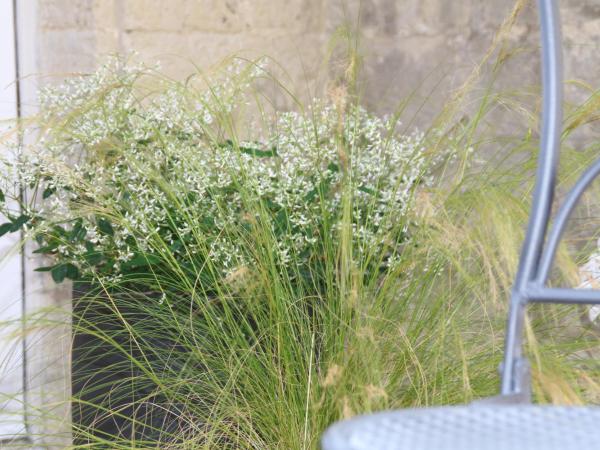 Une Chambre en Ville : photo 7 de la chambre chambre double